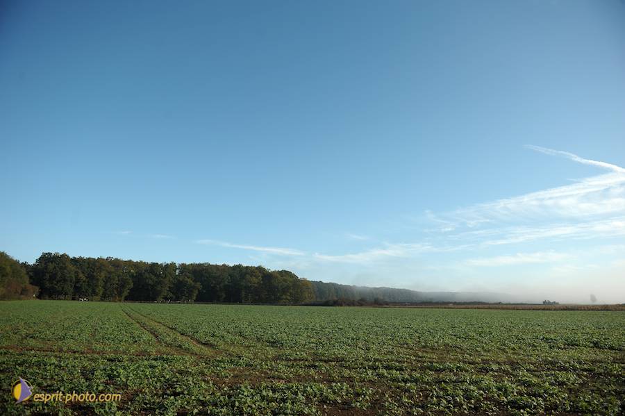 Nom de l'image : D30082957_1_(c)Norbert-JUNG — Description :